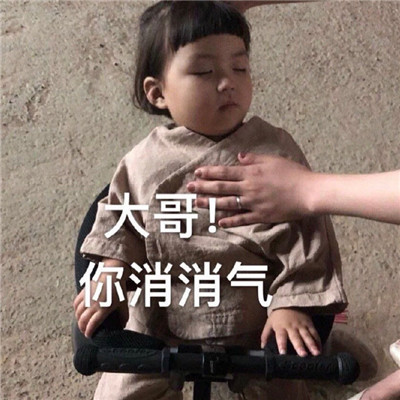 新出炉搞笑带字经典聊天微信表情包