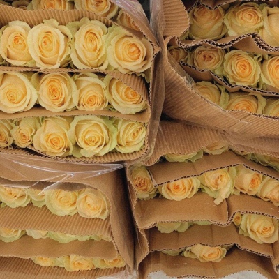 唯美文艺治愈微信聊天背景图