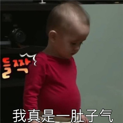 新出炉搞笑带字经典聊天微信表情包