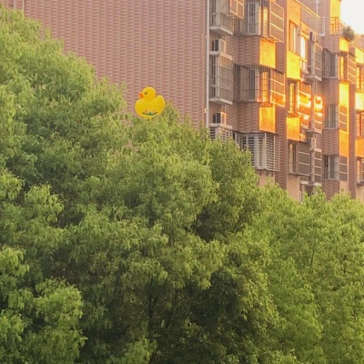 唯美文艺治愈微信聊天背景图