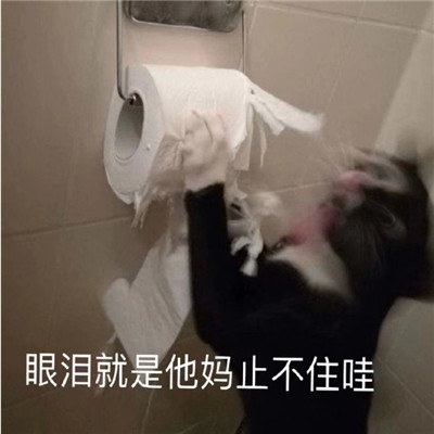 新出炉搞笑带字经典聊天微信表情包