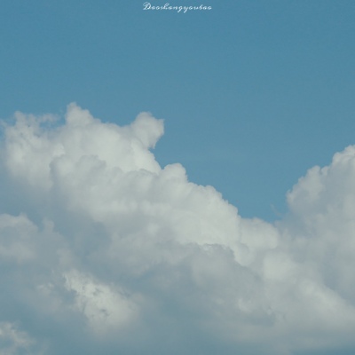 夏日清新干净清爽的风景微信头像
