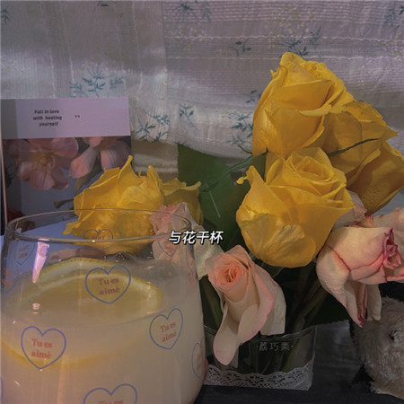 带字好看唯美个性生活微信聊天背景图