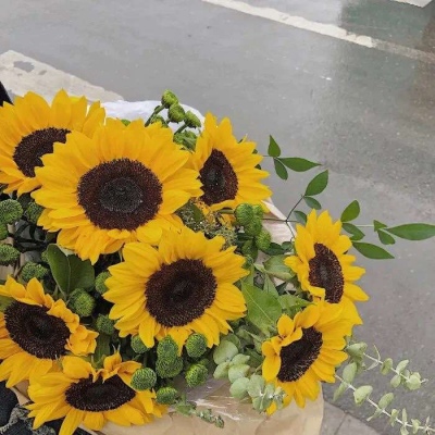 唯美文艺治愈微信聊天背景图