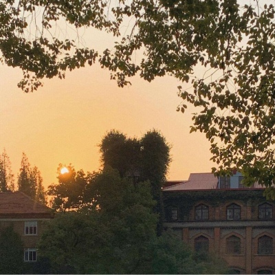 唯美文艺治愈微信聊天背景图