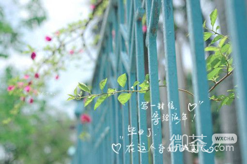 青春有关的毕业微信图片