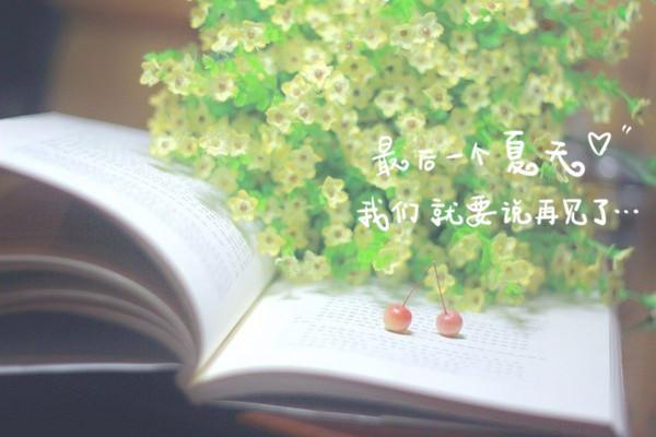 青春有关的毕业微信图片