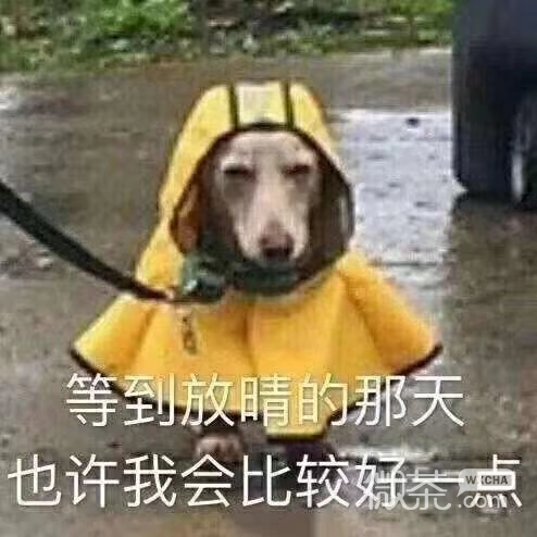 微信近期斗图恶搞表情2020/9/7