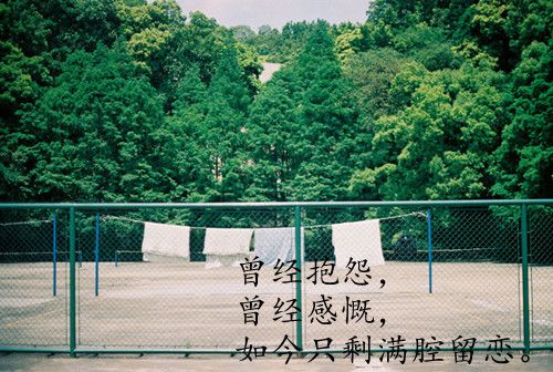 青春有关的毕业微信图片