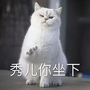 微信近期斗图恶搞表情2020/9/7（二）