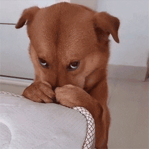 微信近期斗图恶搞表情2020/9/7（二）