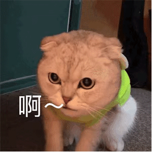 微信近期斗图恶搞表情2020/9/7（二）