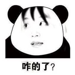 微信近期斗图恶搞表情2020/9/7（二）