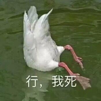 微信近期斗图恶搞表情2020/9/8(二)