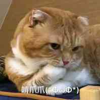 那又怎样微信表情包