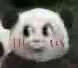 微信近期斗图恶搞表情2020/9/8