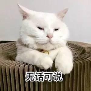 那又怎样微信表情包