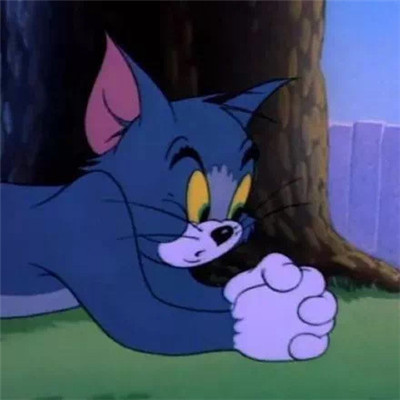 猫和老鼠可爱的卡通微信头像