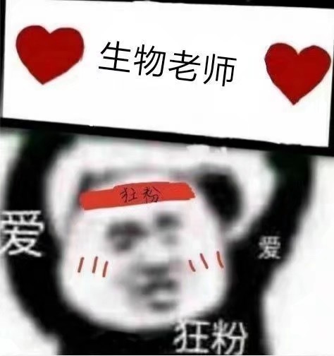 微信近期斗图恶搞表情2020/9/8