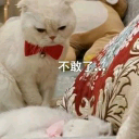 哈哈哈微信熊猫头金馆长表情包