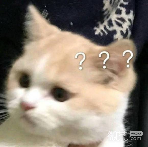 心里没点数？微信喵星人表情包
