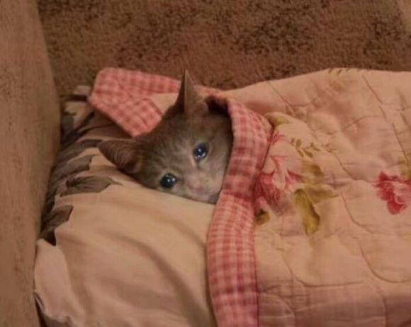 微信颓废聊天斗图表情包