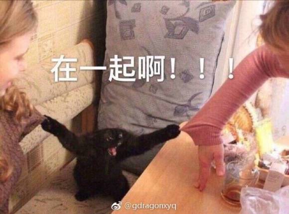 微信颓废聊天斗图表情包