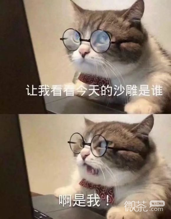 心里没点数？微信喵星人表情包