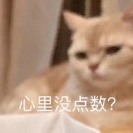 心里没点数？微信喵星人表情包