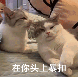 微信颓废聊天斗图表情包