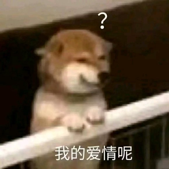 害，微信熊猫头聊天表情包