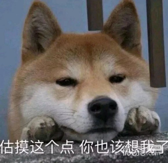 害，微信熊猫头聊天表情包