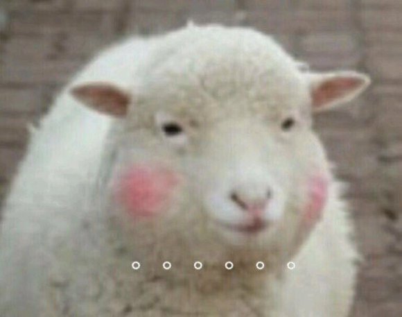 害，微信熊猫头聊天表情包