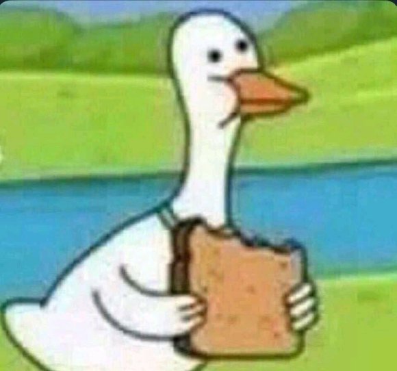 ？？？？微信聊天表情包