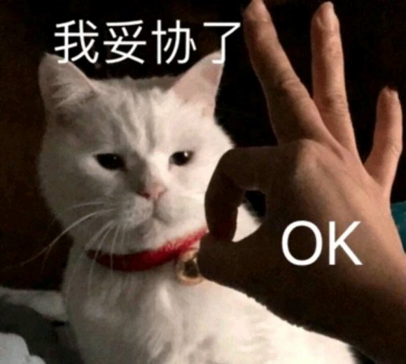 我可以微信聊天表情包