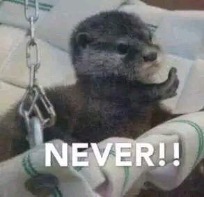 我可以微信聊天表情包