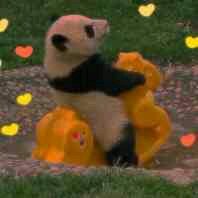 ？？？？微信聊天表情包