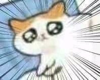 微信近期斗图恶搞表情2020/10/2（二）