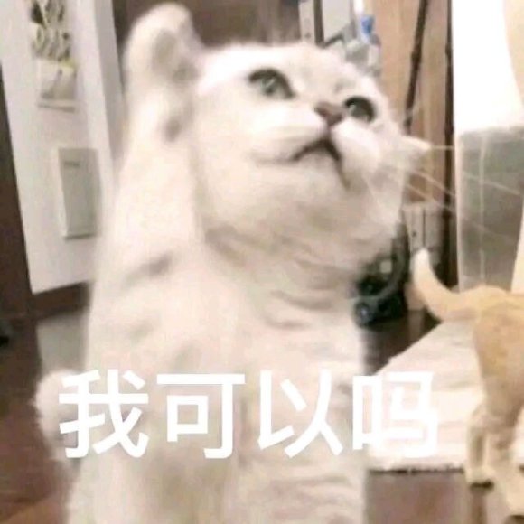 我可以微信聊天表情包