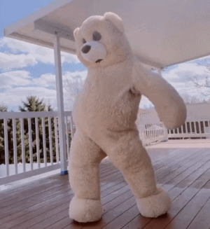 跳舞熊搞笑动态微信表情包