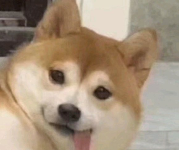 ？？？？微信聊天表情包