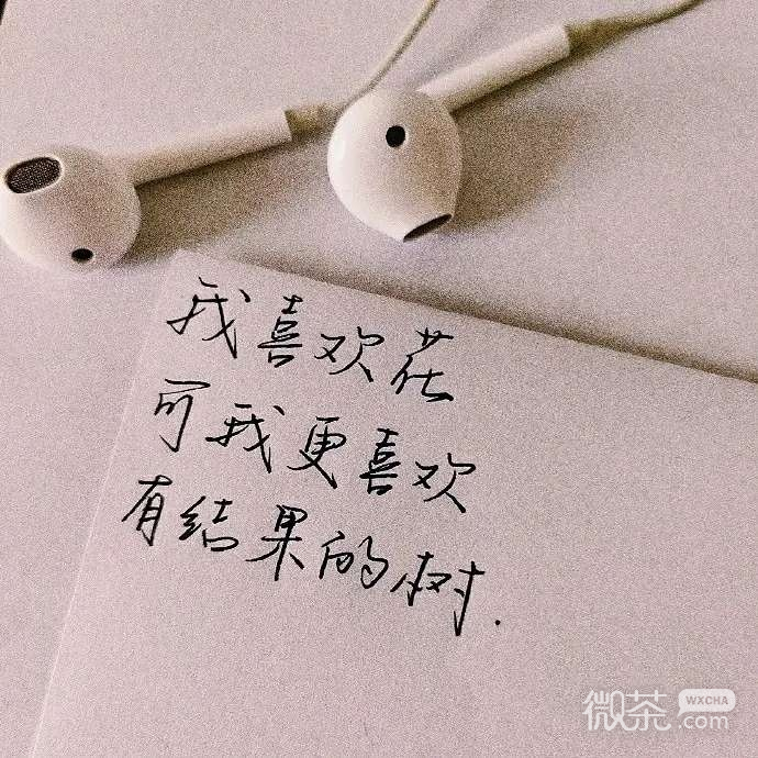 治愈文案微信朋友圈配图
