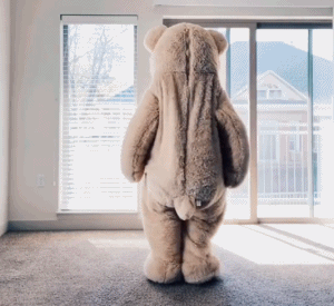 跳舞熊搞笑动态微信表情包