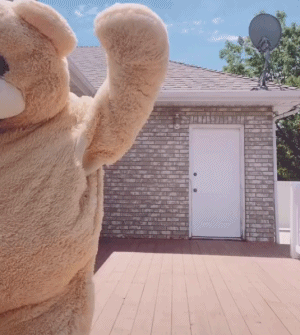 跳舞熊搞笑动态微信表情包