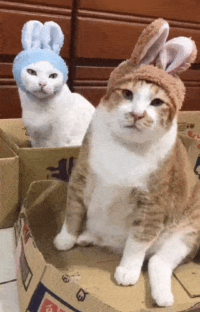 微信近期斗图恶搞表情2020/9/14（二）