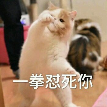 生气微信喵星人表情包