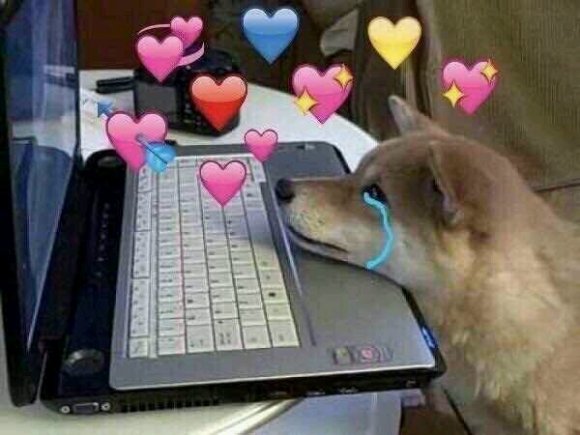 微信近期斗图恶搞表情2020/9/14（二）