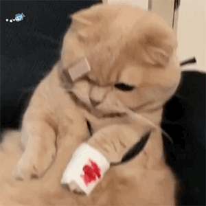 微信斗图恶搞表情2020/9/14