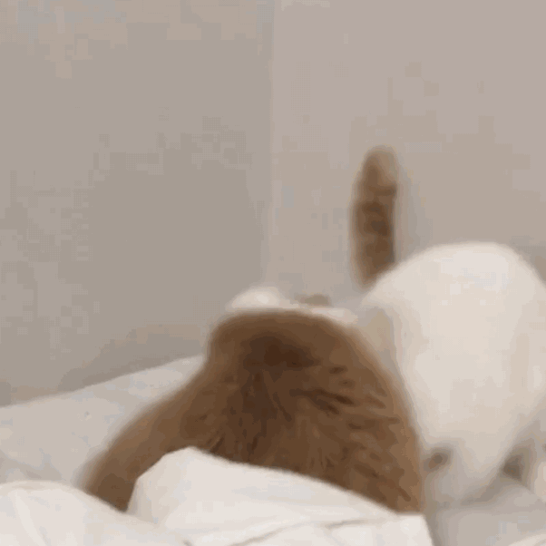 微信近期斗图恶搞表情2020/9/14（二）