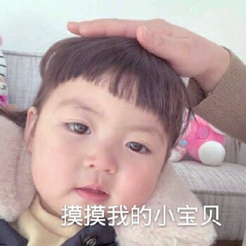 下次不要在这样了微信表情包